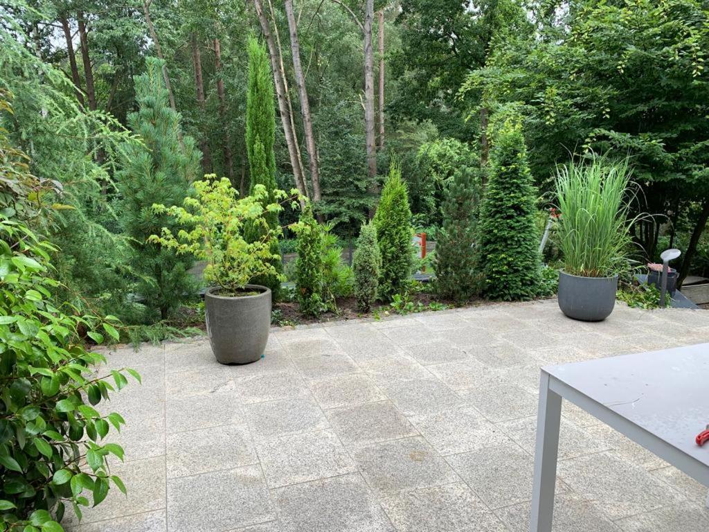 Ferienhaus Bendestorf, Waldweg 38,Naehe Hamburg Екстер'єр фото